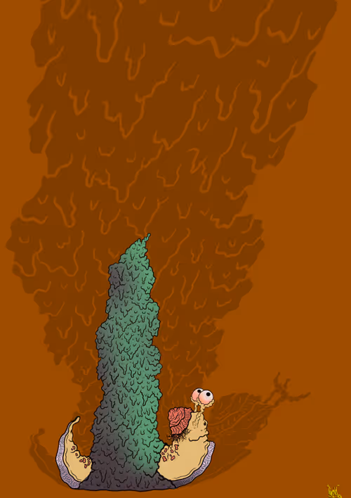 Item #48709560595739296782595910837660609397562067469616424855680270672733153525761 Media