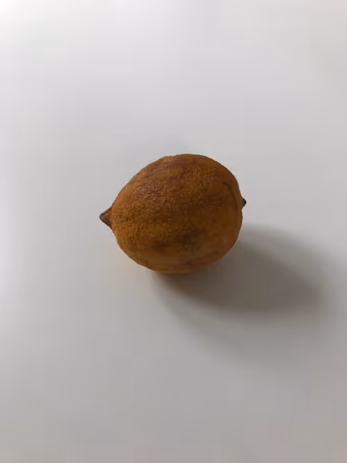 Item #10227850361949749956728229397709654500683799713274393273884189788148821131265 Media