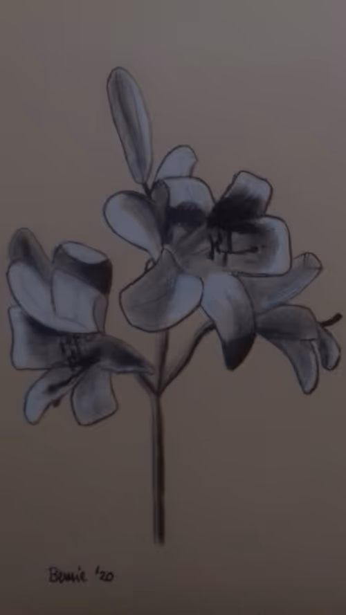 Item #99125017457638883826248316296505876439245924875987117084464433414795283136513 Media