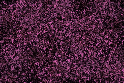 Item #944858660688572096584618472555991747686703840338442188877309701715570720769 Media