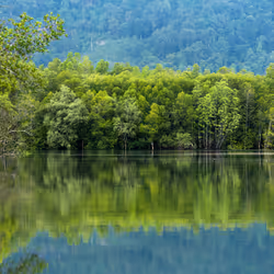 63523364168895166174582155522401431768249069282983621171475144151342298169345