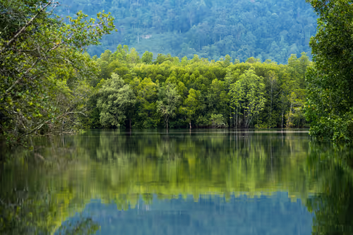 Item #63523364168895166174582155522401431768249069282983621171475144151342298169345 Media