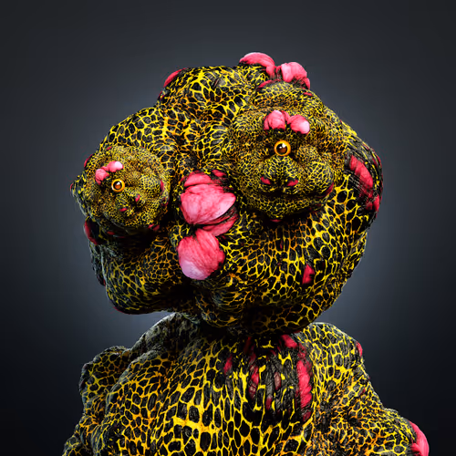 Item #62800499441107097050073037498463163107561347483814590527267109540923093024769 Media