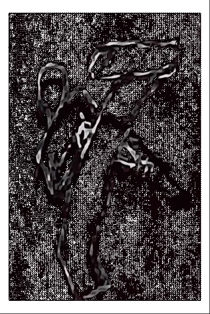 Item #75099081886652241618444402720338979707078790764706959370219354600038081757185 Media