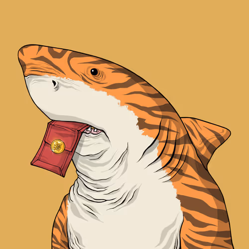 Honorary Shark #6