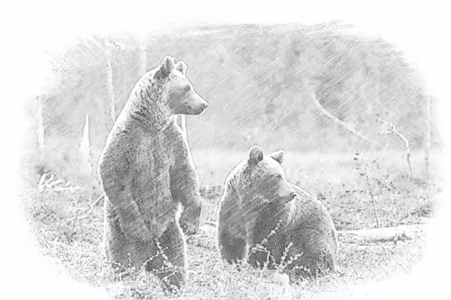 Item #86655930949117801335936455021290836594310532474015013057390977398471185661953 Media