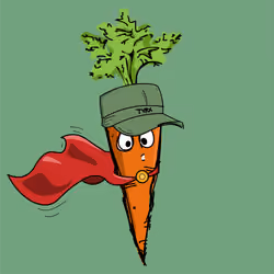 Carrot #99