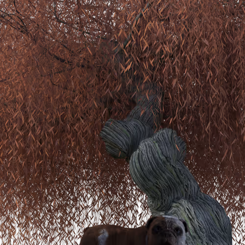 Dawgsout