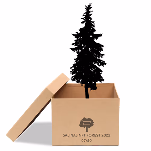 Item #63532776318757439562276927313719991273687356279339277108967620965128745254913 Media