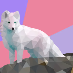 Snow Fox inverted