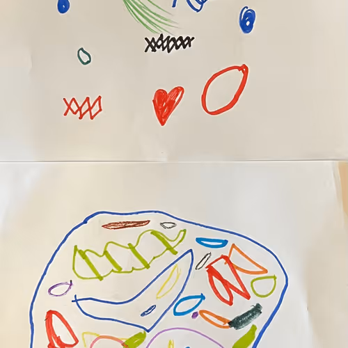 ok-lets-build-stuff Collection