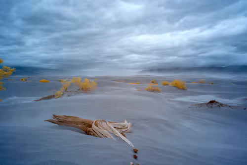 Item #19370616966559748584435896432036154917692480584478998448395270147302368477185 Media