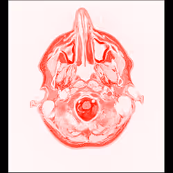 64162533542198579898252916190583583845604629893829087458582975568771133997057