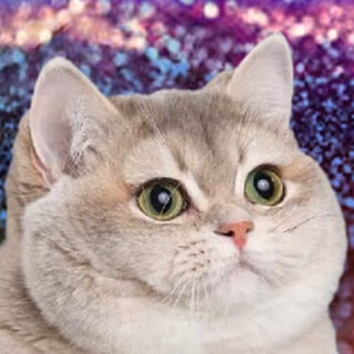 Ryutaro genesis collection