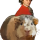 11956811942635422927171460162610099694714344402587762652016437322988275105793