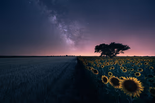 Item #75968517825798924164045795155541515562006117143554642232934363276107621335041 Media