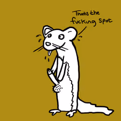 Wanking Weasel