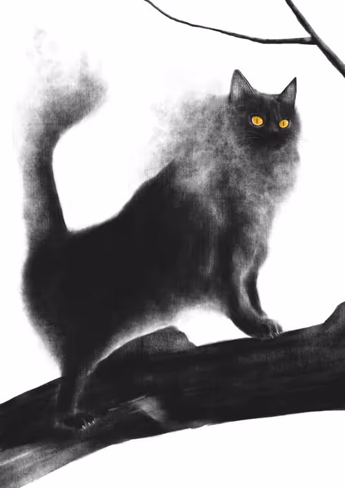 Item #82695799108276642583323751934613913274690371258081772662869305536593270931461 Media