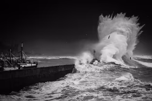 Item #9465970919991825070381387110769562952088497977437425311300914638324561346561 Media