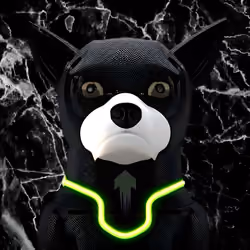Black Neon Edition BotDogz 
