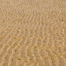 73481989221934584345250200422430111989005161062281080524061052431564711919617