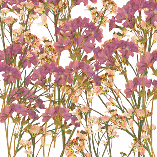 Item #44774762337668537642205640678235127653662757933255340155095354905950613929985 Media