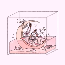 Square Moon