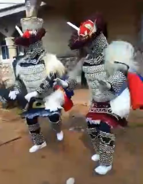 Item #75921230545940014357518005849459215366201420382208221075165108916629285109761 Media