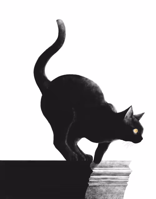 Item #82695799108276642583323751934613913274690371258081772662869305549787410464773 Media