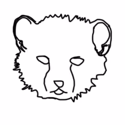 NTA "Cub" 2/4
