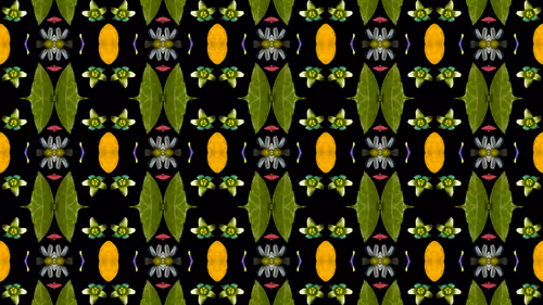 Item #114567358423953626281537788403819853891642458412316118477611090124004973871105 Media