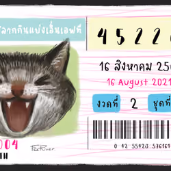 Lottery Cat 06