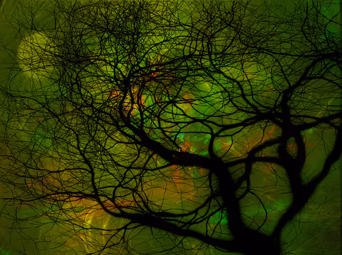 Item #32177667884503912165894813812378854339514359975732135241393141811326478188545 Media