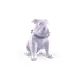 66356733240782896990189205229152515096004912978266210578073828242339422797825