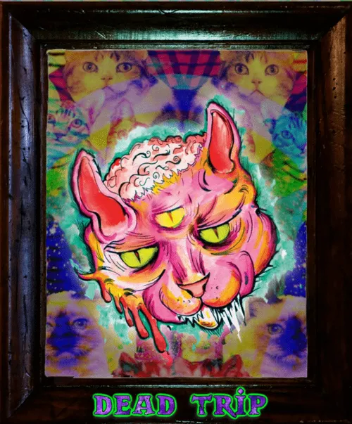 Item #45277950550691086860628345406292312019770169022371458124456175688095010652161 Media