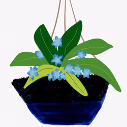 33094602063642353127994791849621664776314715815974494814682752914377226059777