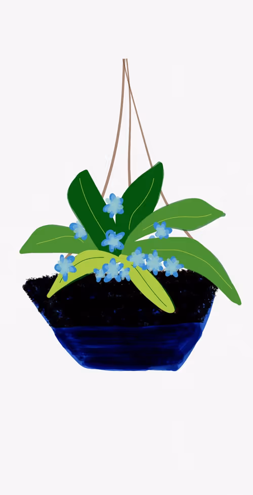 Item #33094602063642353127994791849621664776314715815974494814682752914377226059777 Media