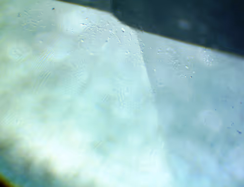 Item #71646257518770613568983710813551014237803002136866425209291834676105447473153 Media