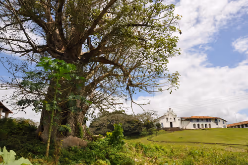 Item #79891436161549541429884862344900251113171213125295126698961100637267615023105 Media