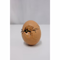 Mystery monster inside eggshell