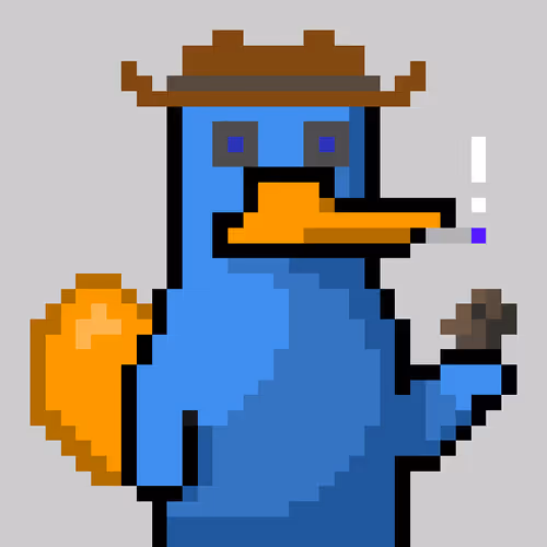 Platypunksofficial