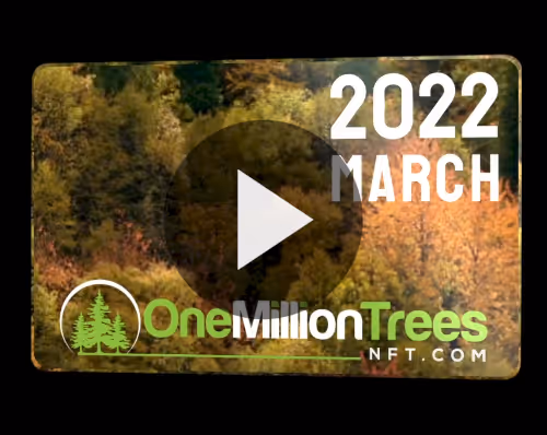 Item #25801989892845548526565125197399663131241948966790422528009322152934588284938 Media