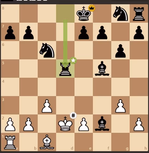 Bubbykidd Collection