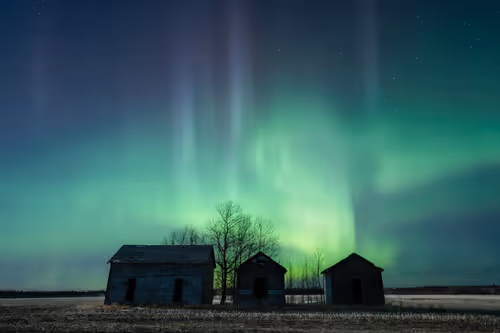 Item #37726056540758428475176204622414672838971825746317066475538999409988322983937 Media