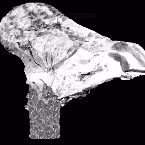 18063966590187803564983313972252836895288362682890717819958697107617929494529