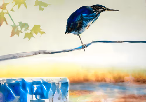 Item #12489479975597442904075550683828375763724097924832948667486829830502298419201 Media