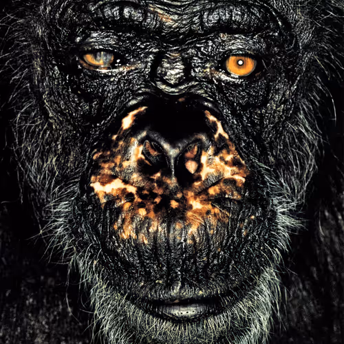 109162157552346088047496633038404394118504199992061596446112929713981826793473