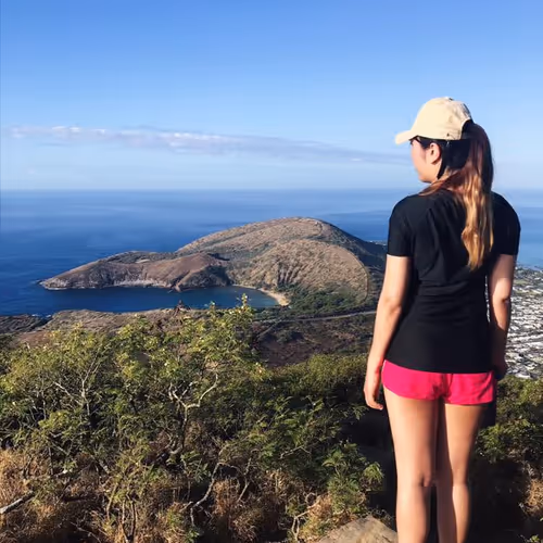 Untitled Collection #283657548