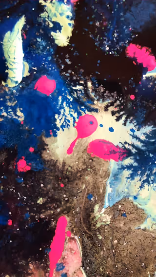 Item #56016082226482587213584942886233378489348488224416495662916113674951188283393 Media