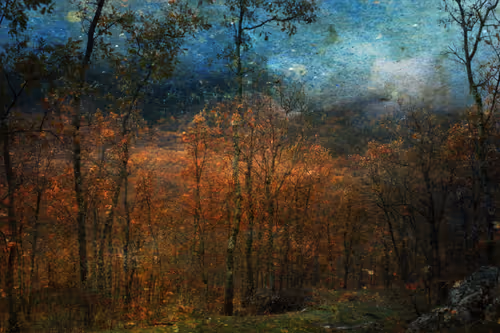 Item #97716626271628656101577116268185940007282338443253569412665055825310649417729 Media